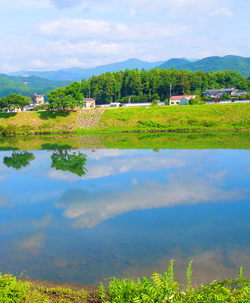 ログカフェコットンタイム カフェ 高知県 南国市 国分