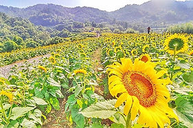 다운로드 (7).jpeg