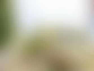 Prag bleibt sozial durchmischt – neue IPR Analyse zeigt aber erste Verschiebungen