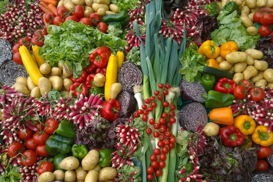 Prague World Vegan Fest: Ein Fest des bewussten Lebensstils in Prag