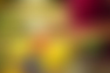 Feiertag: Große Geschäfte bleiben am Mittwoch, dem 28. Oktober, geschlossen