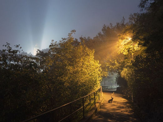 Wild. Schön. Bedroht. Czech Nature Photo 2025