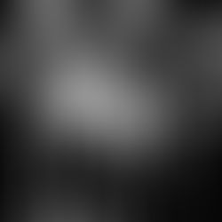 Hollywood Vampires kommen im September nach Prag