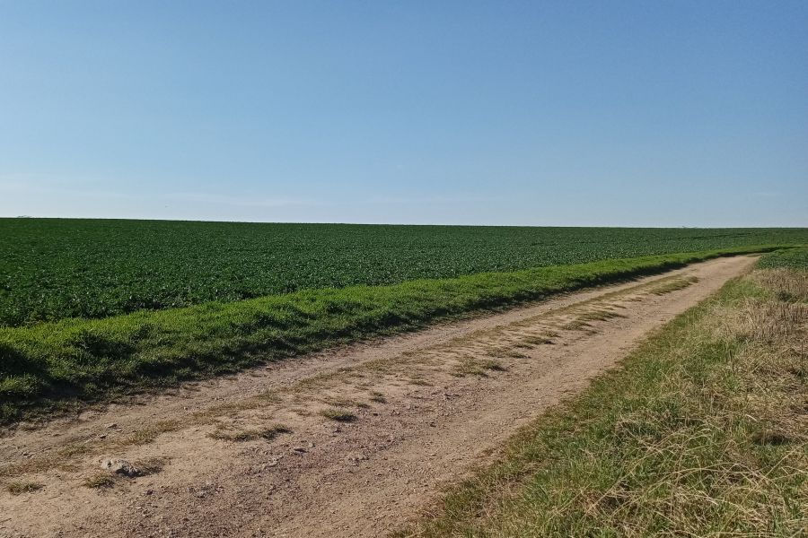 Mehr als 3.000 Kilometer historischer Wege rund um Prag verschwunden