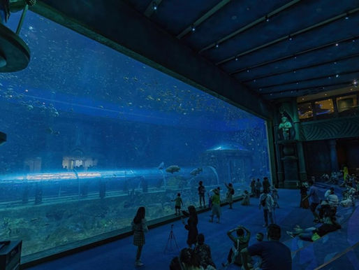 Green Planet: National Aquarium - Brünn plant neues Großaquarium mit Unterwassertunnel