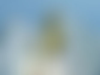 Tschechische Ermittlungen gegen Raiffeisen International wegen Russland-Geschäften