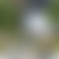 Neue Wagen für die Petřín-Standseilbahn in Prag: Testbetrieb startet im Mai