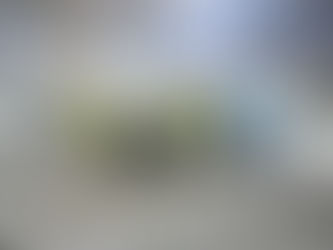 Das neunte Škoda Azubi Car heißt Roadiaq