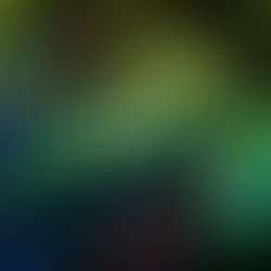 Neue Regeln für Anbau und Besitz von Cannabis in Tschechien