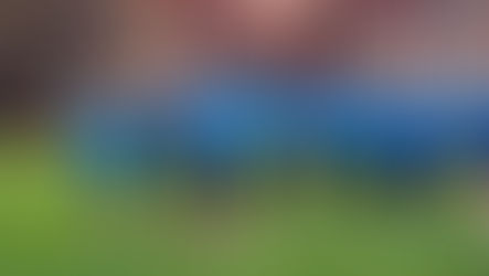 Alles Oder Nichts: Tschechien trifft heute im WM-Play-off-Halbfinale in Prag auf Irland