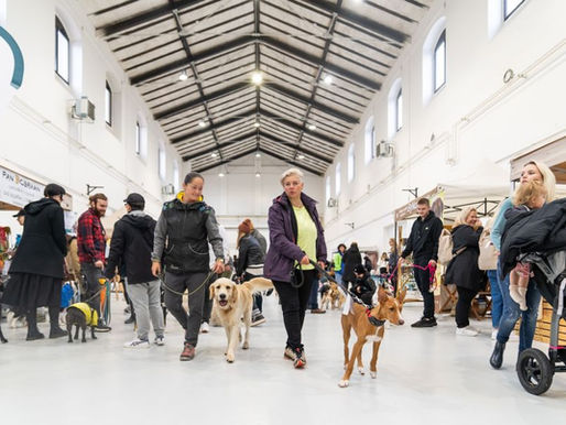Hundefestival Dogs & Friends: Herbst-Edition in der Holešovická tržnice