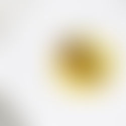 Gault&Millau 2026: Tschechiens Top-Restaurants und ein neuer Hotelguide