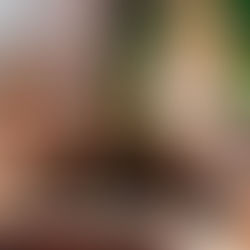 Pilsner Urquell: The Original Beer Experience als weltweit bestes Bier-Besucherzentrum ausgezeichnet