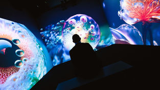 Neue digitale Galerie: Signal Space eröffnet in Prag