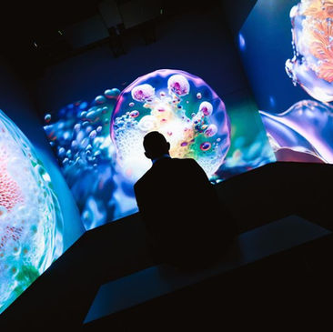 Neue digitale Galerie: Signal Space eröffnet in Prag