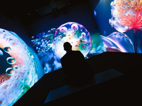 Neue digitale Galerie: Signal Space eröffnet in Prag