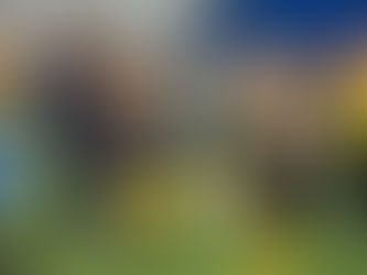 Sportevents 2026 in Brünn: Bewegung und Spaß für die ganze Familie