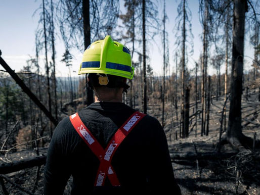 Trockenheit und erhöhte Brandgefahr: Auswirkungen des Klimawandels in Tschechien