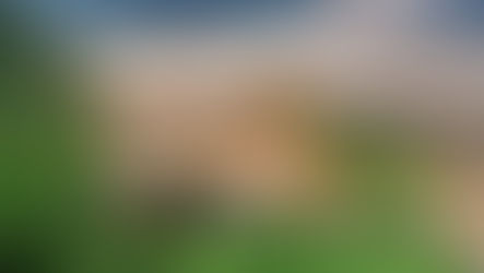 Pocitová mapa Brna 2025: die Hauptstadt Mährens aus Sicht ihrer Bewohner