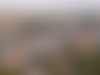 Steigendes Interesse an Vorstadtleben: Bewohner ziehen aus teuren Großstädten in Tschechien weg