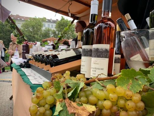 Weinlesefest Vinobraní na Grébovce 2026 verbindet Weintradition und Nachhaltigkeit