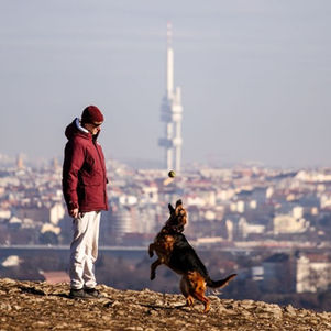 Prag gehört zu Europas besten Städten für Reisen mit Hund