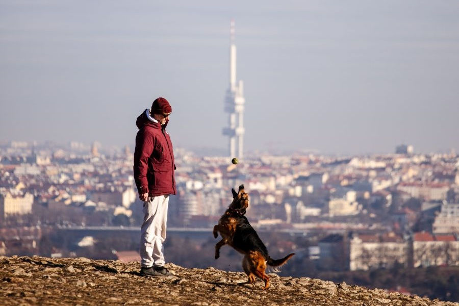 Prag gehört zu Europas besten Städten für Reisen mit Hund
