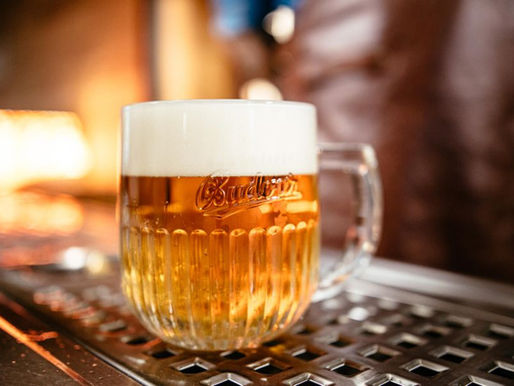 Budějovický Budvar erhöht die Bierpreise angesichts steigender Kosten