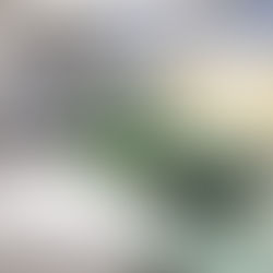 Der Škoda 1101 ‚Tudor‘ feiert sein 80-jähriges Jubiläum mit einer Sonderausstellung im Škoda Museum Mladá Boleslav