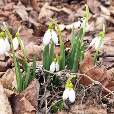 Wetterumschwung in Tschechien: Anfangs noch Regen, ab Mittwoch Sonnenschein und mildere Temperaturen
