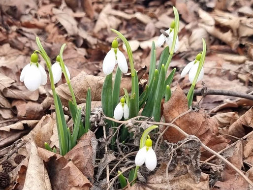 Wetterumschwung in Tschechien: Anfangs noch Regen, ab Mittwoch Sonnenschein und mildere Temperaturen