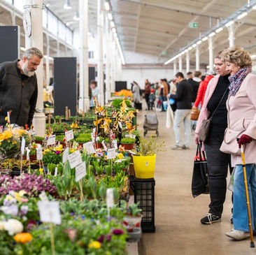 Holešovická tržnice: Hala 22 nach Modernisierung wieder geöffnet