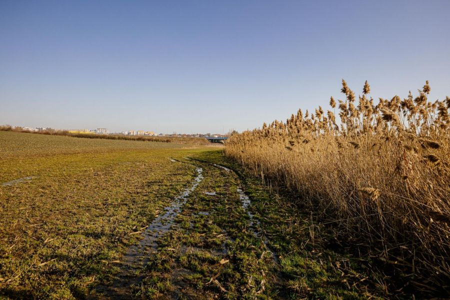 Mehr als 3.000 Kilometer historischer Wege rund um Prag verschwunden
