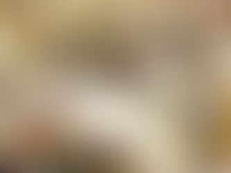 Prag kämpft aktiv gegen Abfall und will ein Netz von städtischen Wiederverwendungszentren aufbauen