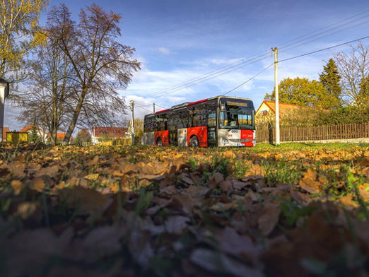 Neue saisonale Buslinie 878 erschließt ab Juli 2026 den Böhmischen Karst