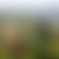 Botanischen Garten Prag: Ausstellungen und Veranstaltungen 2026