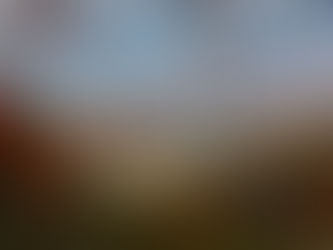 Von Lednice bis Karlštejn: Besucherrekorde 2025 auf Tschechiens Burgen und Schlössern