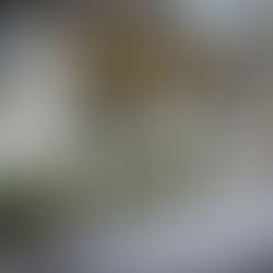 Renáta Kellnerová verkündet Umzug der PPF Group nach Tschechien