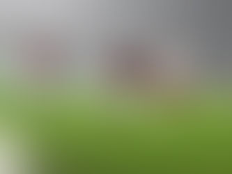 UEFA Conference-League: Sparta direkt im Achtelfinale, Olomouc im Play-off