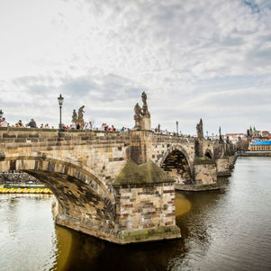 Karlsbrücke wird von Pflanzenbewuchs und Algen befreit
