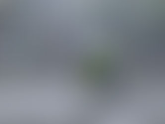 Das beleuchtete Wasserspiel am Prager Wenzelsplatz startet in die Sommersaison