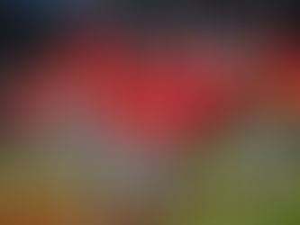 Spaniens Baseball Nationalteam sichert sich in Brünn zweiten Europameistertitel nach 68 Jahren