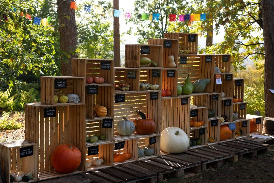 Prager Botanischer Garten lädt zur Kürbisausstellung ganz im Zeichen der Urzeit