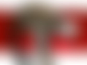 Prager Zoo startet Adventkampagne „Adoptiere mich!“