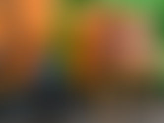 Zweites Leben für Alltagsgegenstände: Prag eröffnet weitere Reuse-Punkte