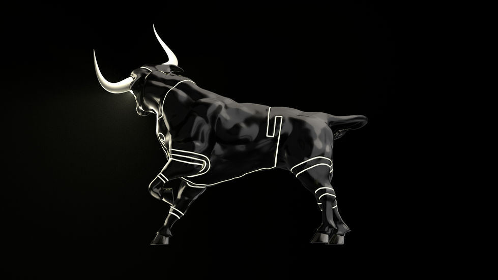 Side2_Bull