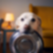 services images (5).png