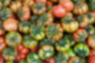 fresh-italian-costoluto-tomatoes-on-display-at-an-PP7Y3SP.jpg