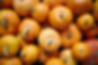 autumn-pumpkins-PH5ZQSY.jpg