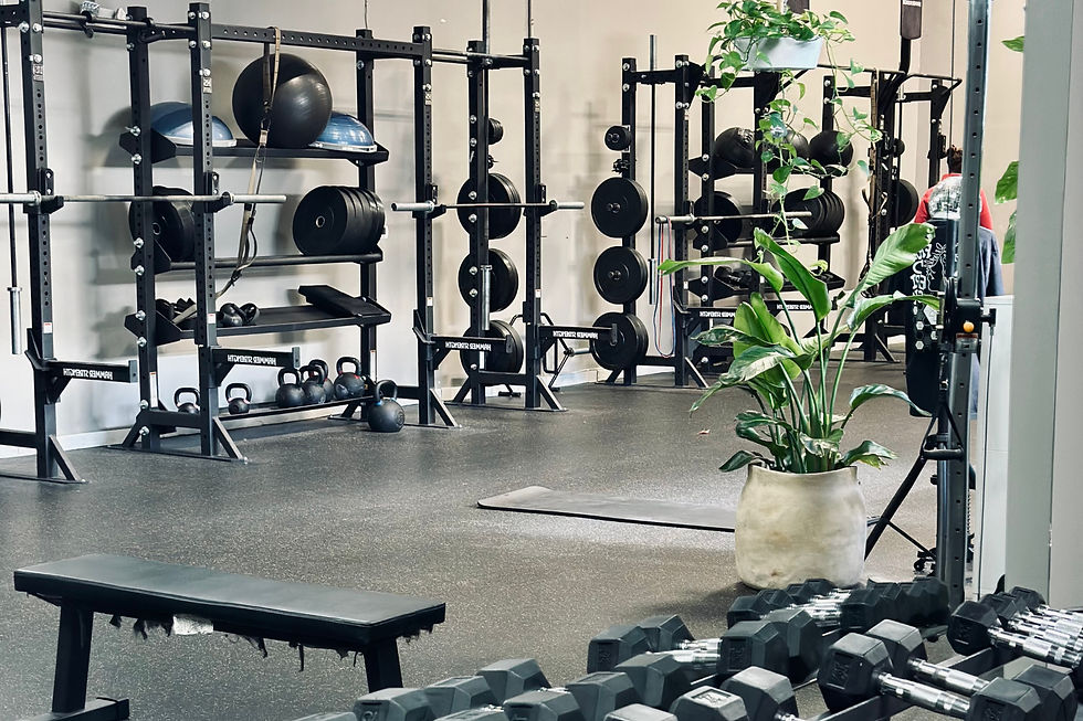 Gym interior with weights, racks, kettlebells, and exercise balls. A potted plant adds greenery. Benches and dumbbells are visible.